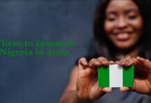 Best Nigerian Investment Companies That Pay Weekly