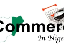 How Profitable Is E-Commerce In Nigeria