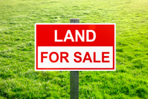 Land Investing