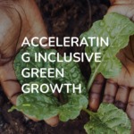 AGriDI Grants for Digital Innovations in West Africa.